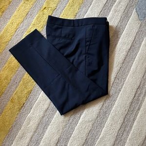 Banana Republic Ryan Slim Wool Blend Pant  6S